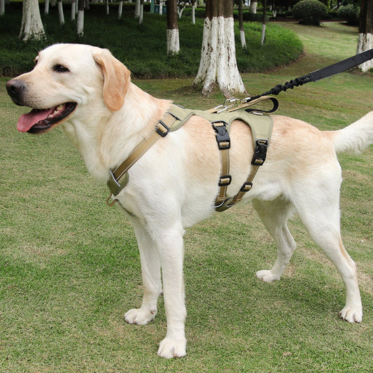 GripGuard Reflective No Pull Dog Harness with Adjustable Secure Fit