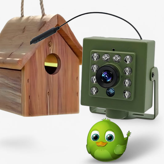 NestCam HD Wi-Fi Bird Nest Camera with Night Vision and Weatherproof Design